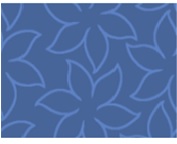 Коврик на резиновой основе Турция Flo 60*100 1 предм 3023 голубой