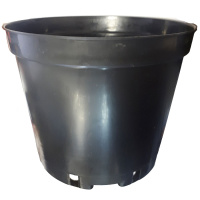 ba5012942a946cc26a8c5418144bf461