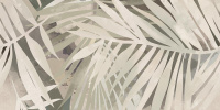 desert-oasis-2