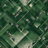 Палас Войлок 2,5*4 1724 зел /Абстр/