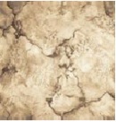 Палас Войлок 2,5*5,5 2484 беж /Абстр/