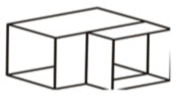 koleno1
