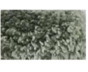 Ковер Пушистики Шер 0,6*1 PC00A зел/зел