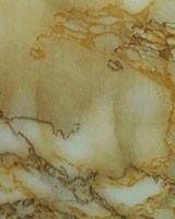Hongda_-8309-1.png1