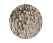 Ковер Пушистики Шер 1,2*1,2 PC00A беж КРУГ