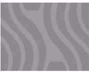 Коврик на резиновой основе Турция Flo 60*100 1 предм 3018 серый темный