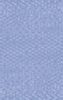 lejla-gol-niz-03_1592300007