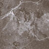 poly-1