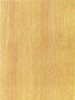 Hongda80061