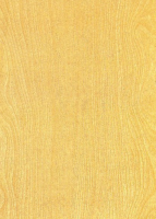 Hongda_8005.png1