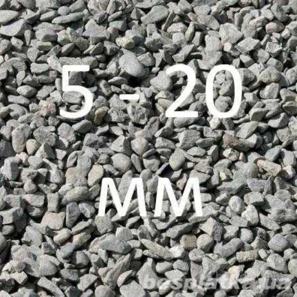 scheben_5-201