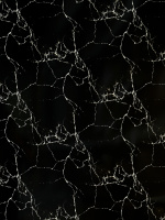 12024010G_01