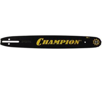 champion1572220adadmitadcomadadmitadcom952912_2127204