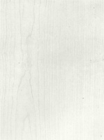 Hondna_80131