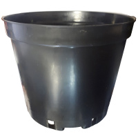 ba5012942a946cc26a8c5418144bf461