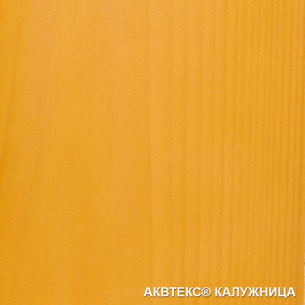 АКВАТЕКС-КАЛУЖНИЦА1