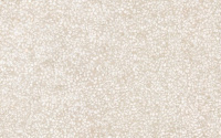 efa-bezh-niz-03_1616655937