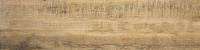 keramogranit_dub_palevyi_15x601