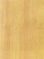 Hongda80061