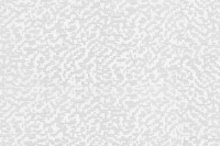 _0000_Mozaika_Belyi_big
