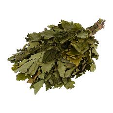 Веник для бани дубовый с крапивой