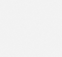 Обои Фокс виниловые на флизелине 1,06*10м Бьянка-2 13299 /6/