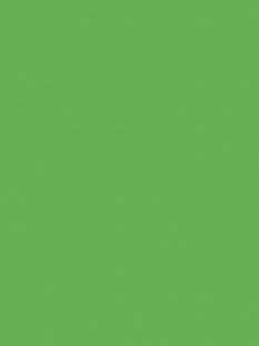 Самоклейка Hongda 0,45*8м 2029 зеленый