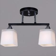 Люстра 05017/2