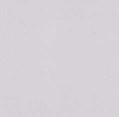 Обои Белвинил виниловые на флизелине 1,06*10м 0525-21 Эльза фон /9/ 