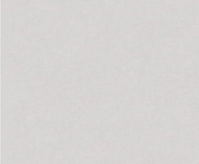 Обои Пенза VS виниловые на флизелине горячего тиснения 1,06*10м 585111 Магнолия /6/