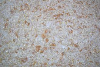 Силк Пластер - жидкие обои эколайн 763 (3,5-4 м2)