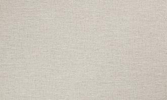 Обои Пенза ВВП виниловые на флизелине горячего тиснения 1,06*10м 589706 Кафе /6/ 