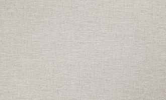 Обои Пенза ВВП виниловые на флизелине горячего тиснения 1,06*10м 589708 Кафе /6/ 