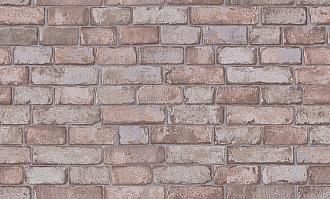 Обои Белвинил виниловые на флизелине 1,06*10м 0526-51 Реал /9/