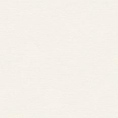 Обои Индустрия виниловые на флизелине горячего тиснения 1,06*10м 285042 Камыши фон /6/