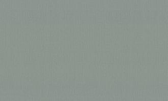 Обои Палитра FM виниловые на флизелине горячего тиснения 1,06*10м 72490-77 Тими фон /8/