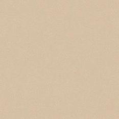 Линолеум&nbsp;&nbsp;коммерческий Acczent PRO Aspect/Акцент Про Аспект 5 - 1,5м 34кл толщ 2мм защ слой 0,7мм