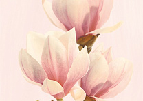 Керам декор вставка Керамика-Волга Агата роз D 25*35 /15шт ///