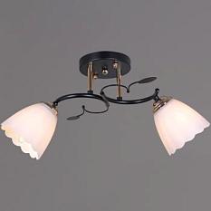 Люстра 10134/2