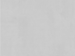 Обои ЕД виниловые на флизелине горячего тиснения 1,06*10м 7332-11 /6/