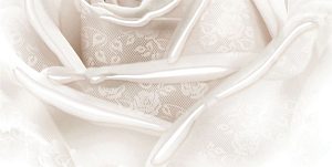 Вставка Belleza Нежность В беж 04-01-1-10-05-11-350-2 25*50 /5/з — фото в Интердекор