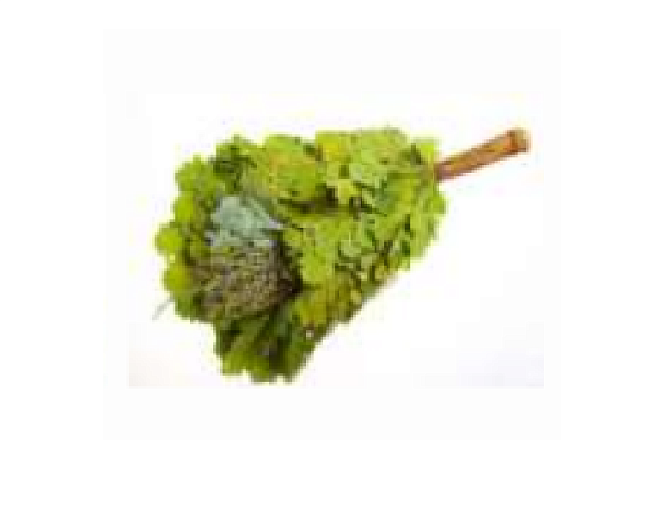 Веник для бани дубовый /03542/