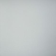 Керамогранит пол Грани Таганая Профи светло-серый матовый 60*60 