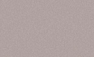 Обои Белвинил виниловые на флизелине 1,06*10м 0423-61 Фиджи фон /9/