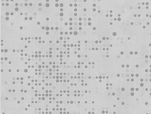 Обои ЕД виниловые на флизелине горячего тиснения 1,06*10м 7331-11 /6/