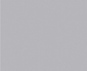 Обои Пенза VS виниловые на флизелине горячего тиснения 1,06*10м 585257 Мечта /6/