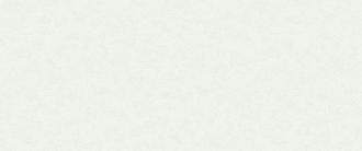 Обои Пенза VS виниловые на флизелине горячего тиснения 1,06*10м 283523 Перо фон /6/ 