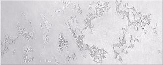 Керамическая плитка стена Азори Sfumato Grey 20,1*50,5