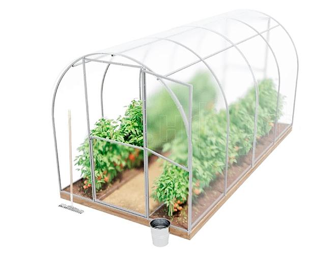 Теплица Репка 2*6*2м проф труба 20*20 оц мет 2 двери 2 форточки