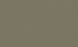 Обои Пенза ВВП виниловые на флизелине горячего тиснения 1,06*10м 588683 /6/ 